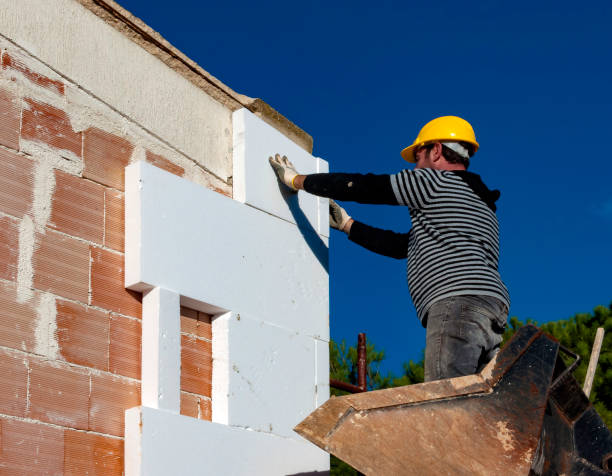 Best Insulation Maintenance and Repair in St Paul, TX