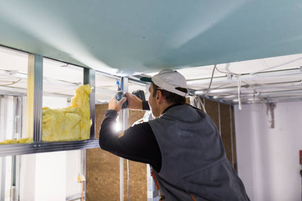 Best Residential Insulation in St Paul, TX