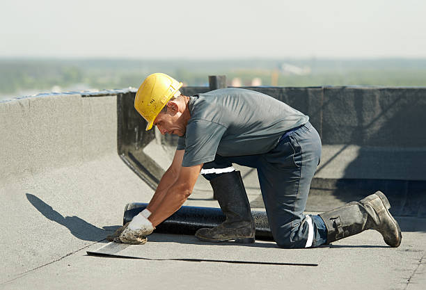 Best Blown-in Insulation in St Paul, TX