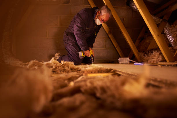 Best Geographic-Specific Insulation Services in St Paul, TX