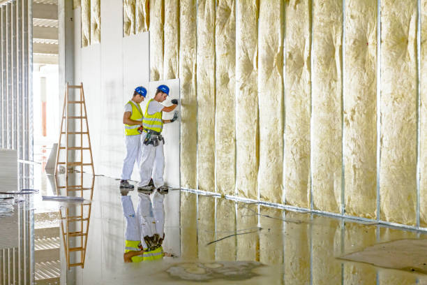 Best Insulation for Specific Applications in St Paul, TX